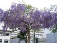 集合場所の定番です。
