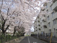ずっと守っていきたい名所です。