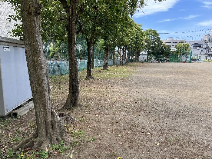 広町ひろば清掃(2)