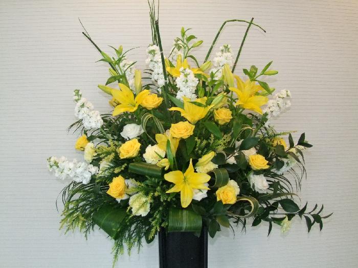 きれいな花でした