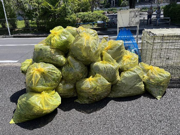 袋が山のようです。