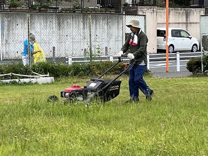 頑張っています