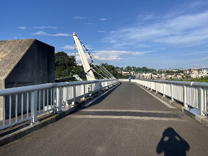 鷺舞橋、さぎが翼を広げている