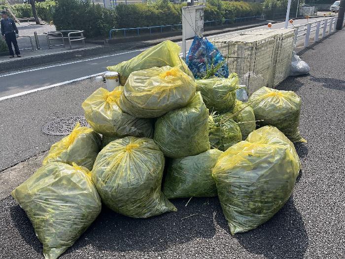 こんなに沢山