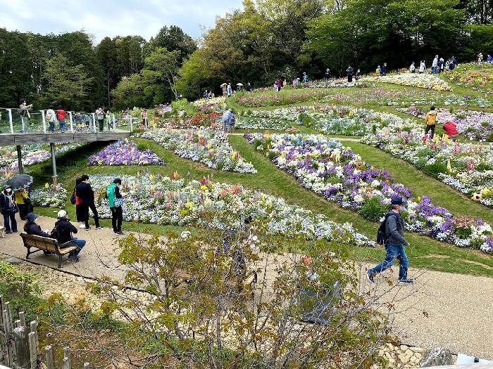 緑化推進の研修を決める。里山ガーデン