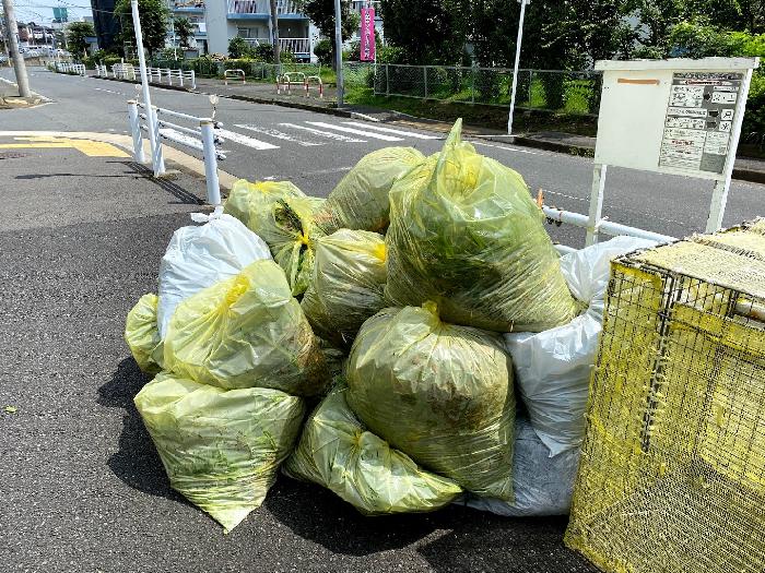 すごい量です