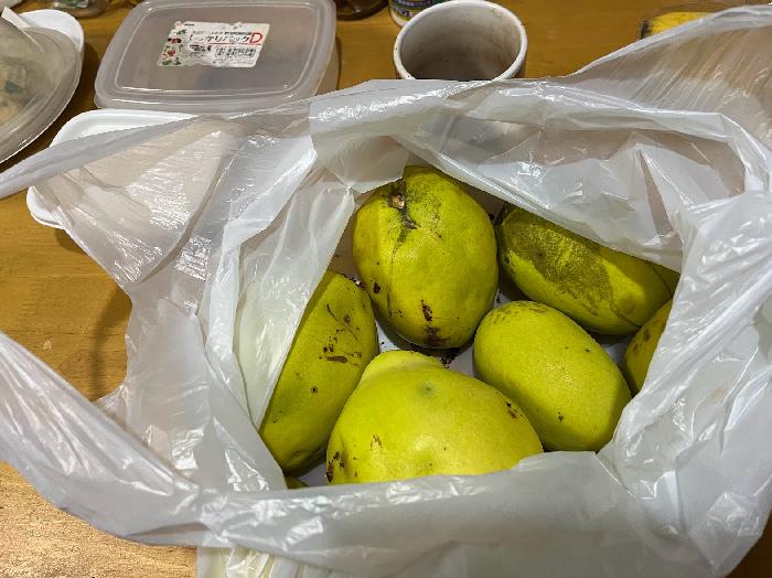 沢山手に入りました。