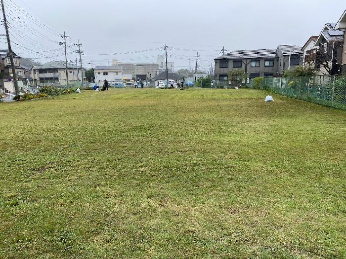 こんなに奇麗になりました。