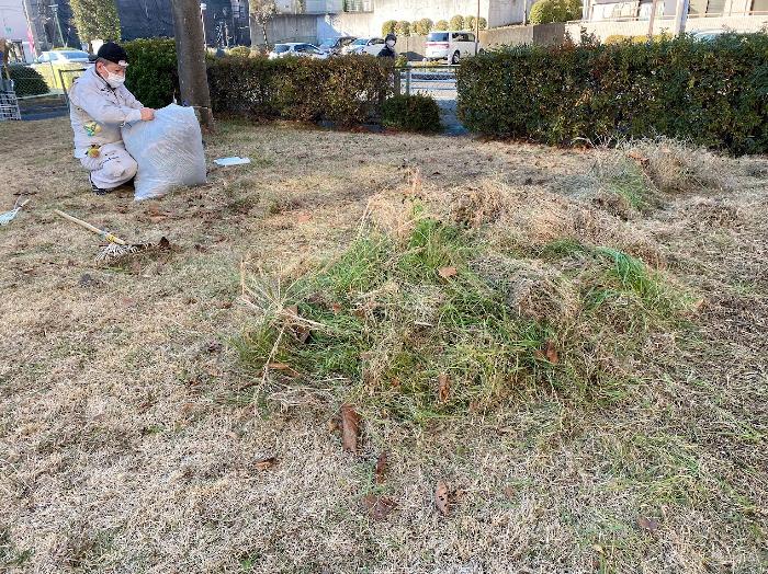 刈り取った草を集めています