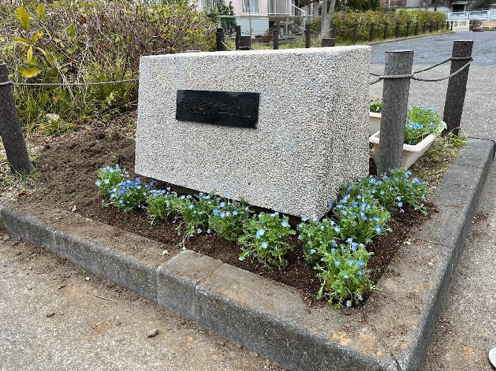 公園の入り口に植えました