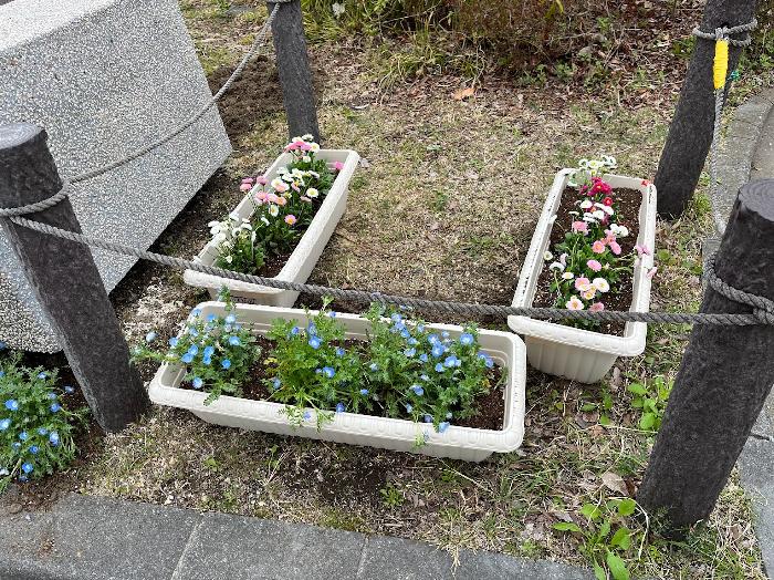 プランターを使ってみました