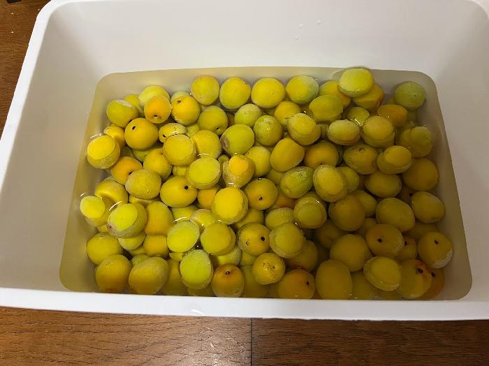 水に漬けて灰汁を取ります