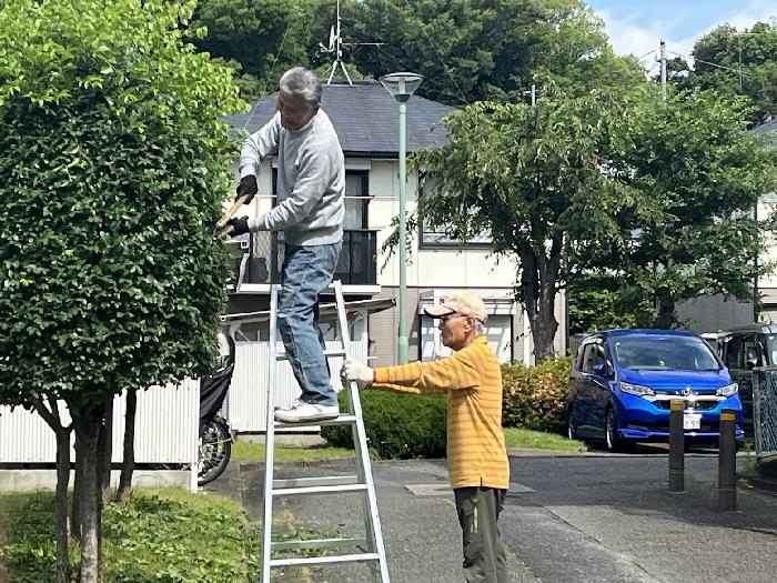 高所作業は安全第一