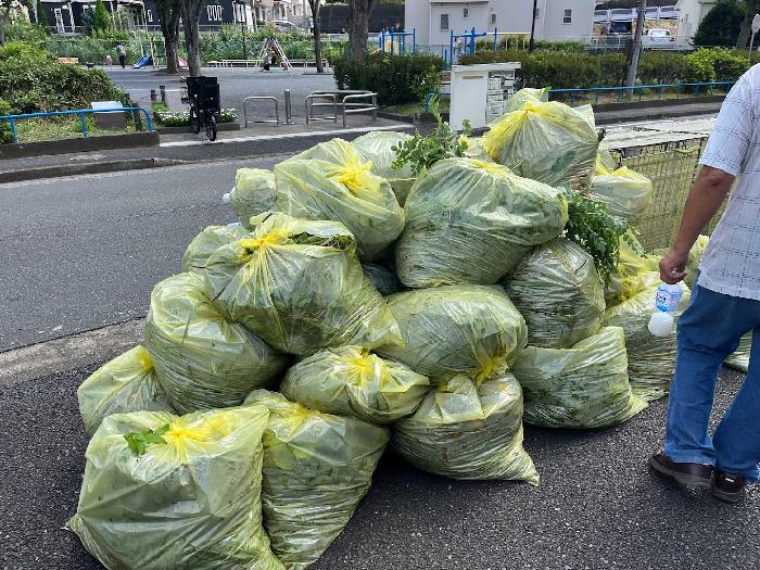 すごい量です
