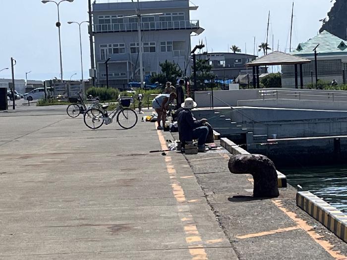 誰も餌をまいていません