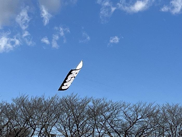 舞い上がった凧