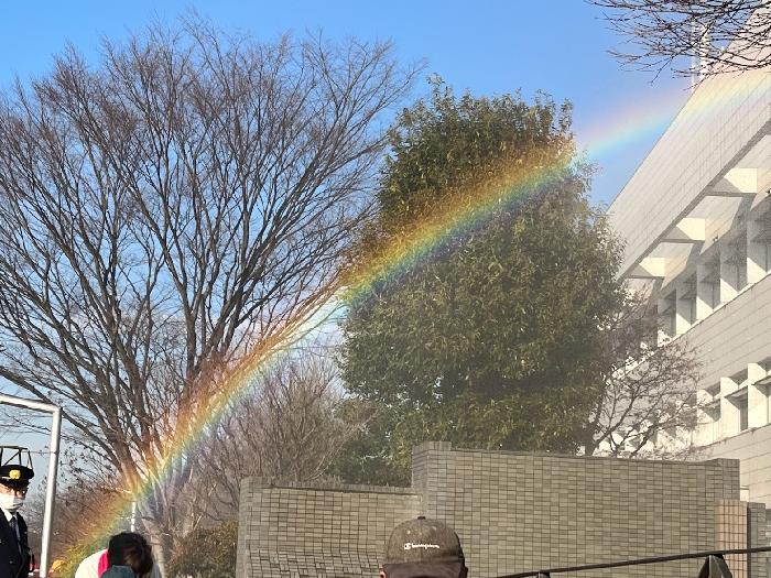奇麗な虹が
