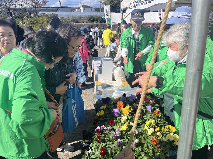 奇麗なパンジーは人気があります