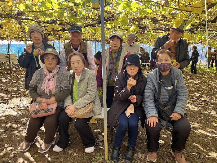 ブドウ狩りです