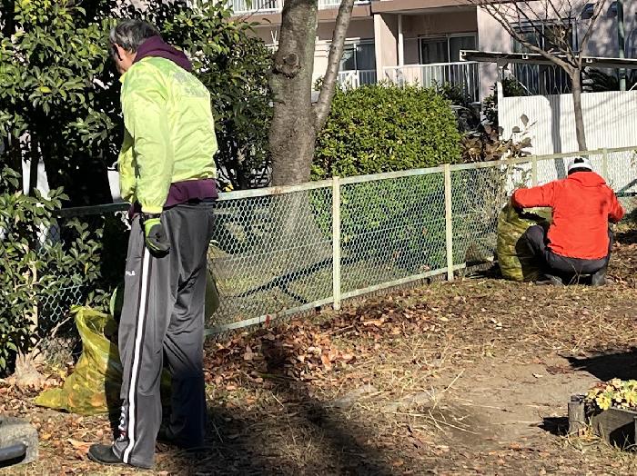 奇麗になっていきます。