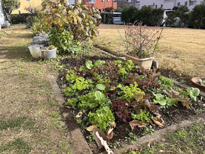 �T���_��