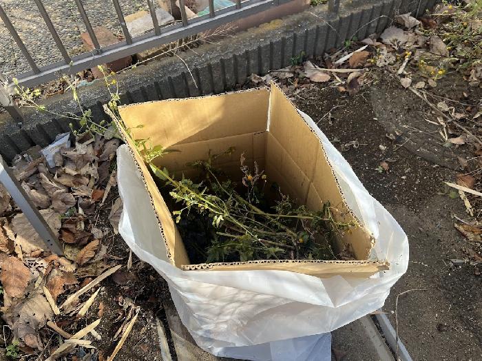 �ǂ�ǂ�l�߂܂�