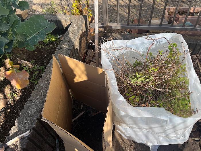 �i�{�[���𔲂��܂����B