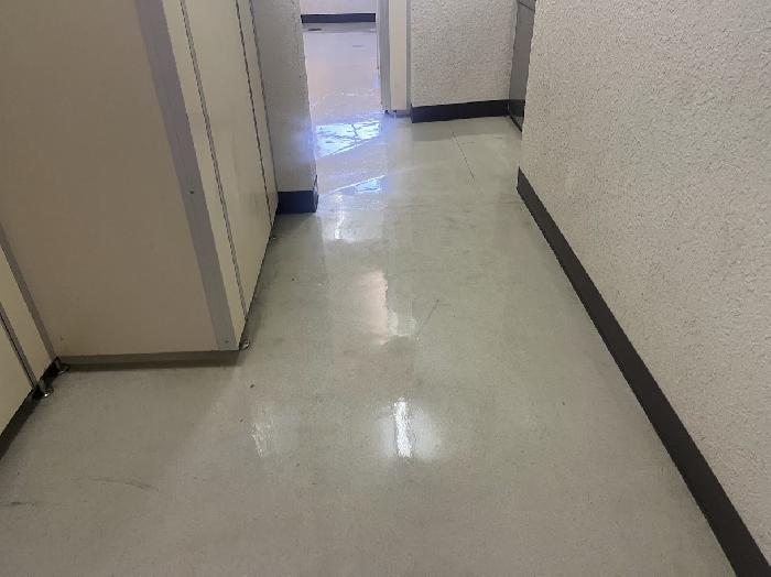 �g�C�������ɂȂ�܂����B