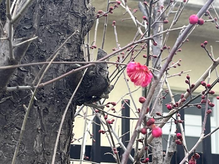 �~��ցA��ւ��Ƃ̒g����