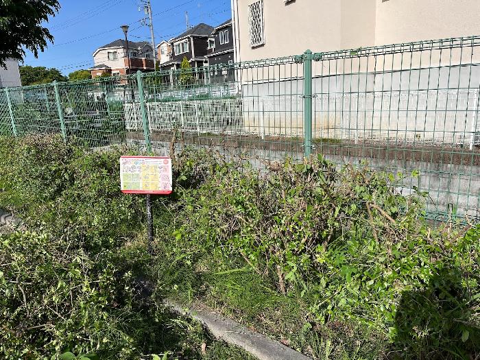 ここまでばっさり