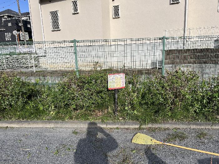 奇麗になりました
