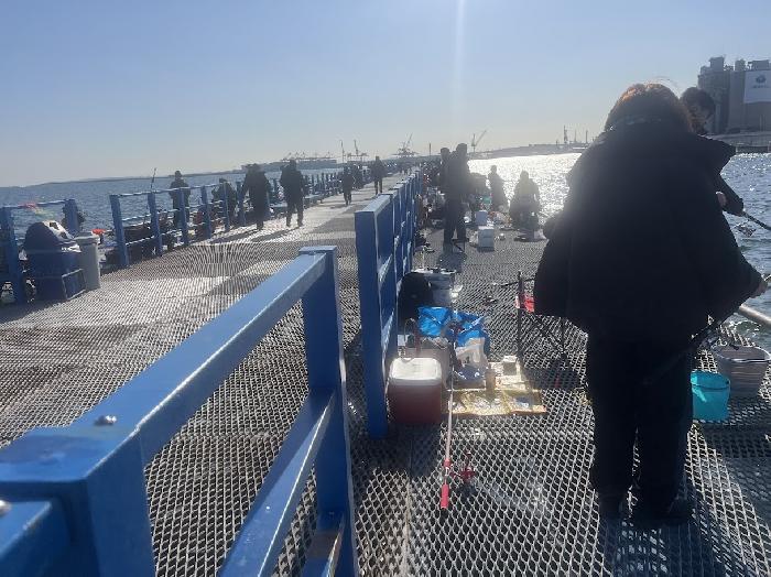 �{�q�ނ����