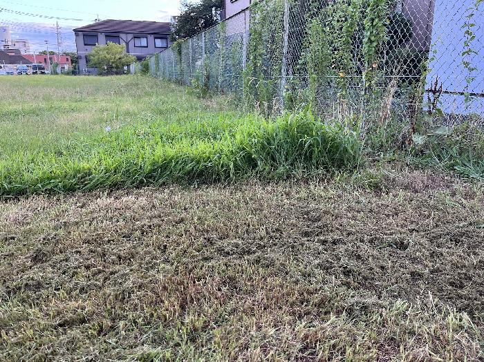 段差が分かるね。