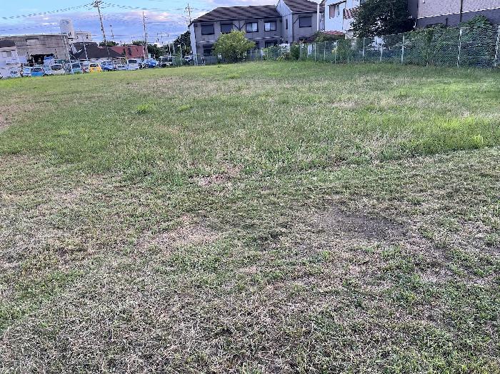 まだまだ広い
