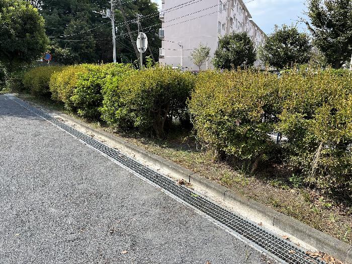 奇麗になりました