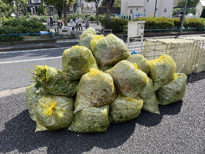 頑張ったね・・