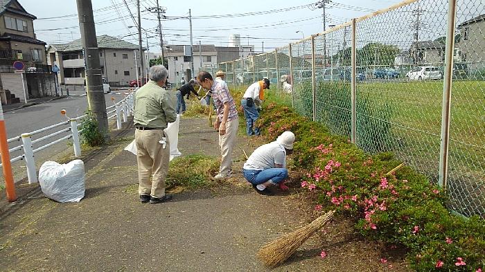 サツキも顔を出してきました。