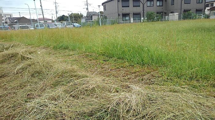 すごい状況です