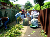 (通学路【用水路】に茂る雑草駆除)