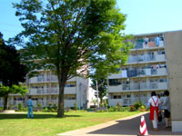 40年以上の歴史を感じさせる<br>ケヤキの大木