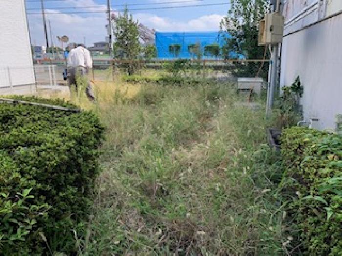 防災井戸周辺を清掃中