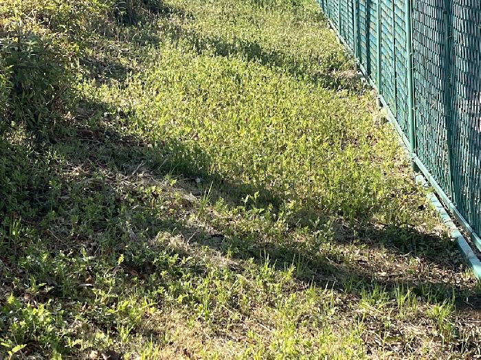 �����L�тĂ��܂����B